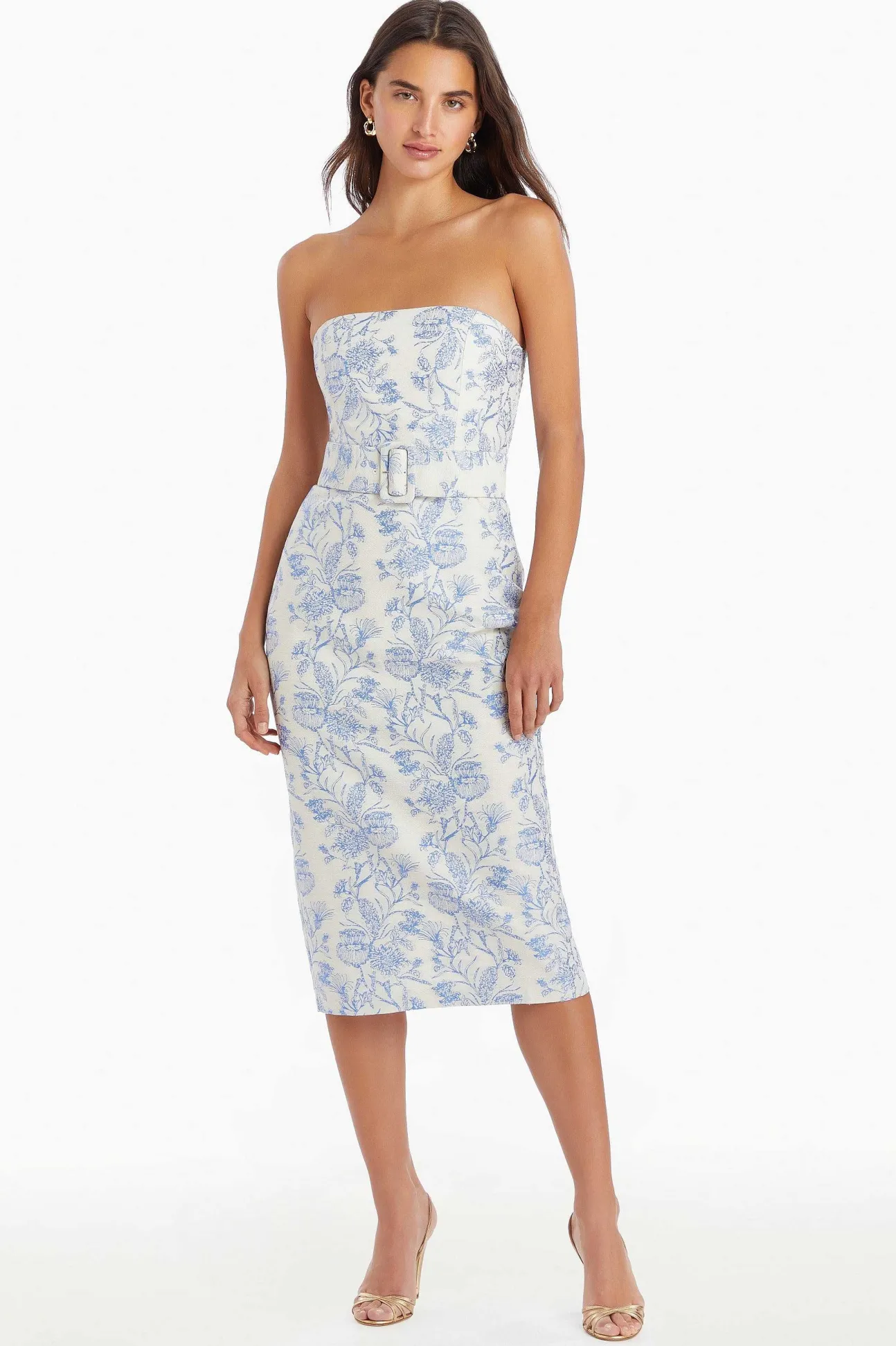 Fae Midi Dress In Toile Brocade
